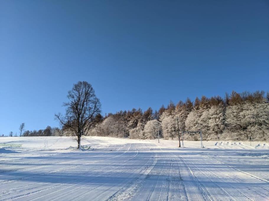 Bienenstock Apartment Seiffen Bagian luar foto